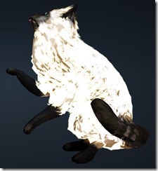 Black Mask Cat Side Black Mask Cat Side