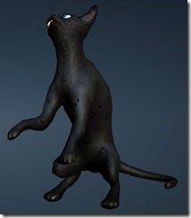 Black Thin Cat Front Black Thin Cat Front