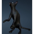 Black Thin Cat