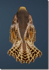 Brown Hawk Guide Back Brown Hawk Guide Back
