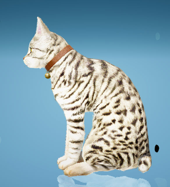 BDO Fashion Junaid Cat (Black Desert Online)