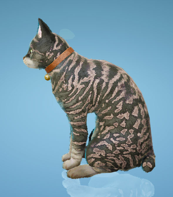 BDO Fashion Junaid Cat (Black Desert Online)