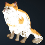 Orange Brindle Cat