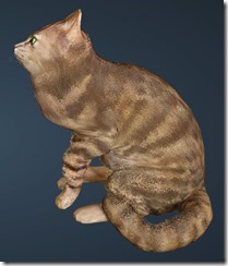 Striped Cat Side Striped Cat Side