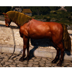 [Tier 2] Horse