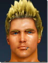 Warrior Round Piercing Warrior Round Piercing
