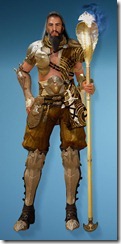 bdo-cantusa-wizard-costume-hide-helm bdo-cantusa-wizard-costume-hide-helm
