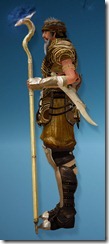 bdo-cantusa-wizard-full-2 bdo-cantusa-wizard-full-2