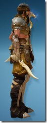 bdo-cantusa-wizard-full-4 bdo-cantusa-wizard-full-4