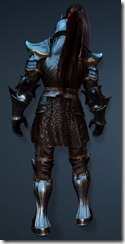 bdo-clead-warrior-costume-3
