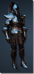 bdo-clead-warrior-costume