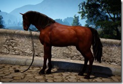 HorseT2 HorseT2