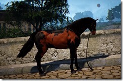 Horse Horse