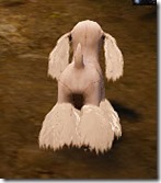 Tier 3 Batian 2 Back Tier 3 Batian 2 Back