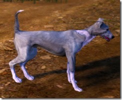 Tier 3 Kaia Racing Dog Side Tier 3 Kaia Racing Dog Side