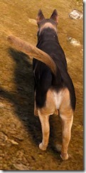 Tier 3 Shepherd Dog 2 Back Tier 3 Shepherd Dog 2 Back