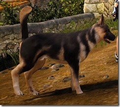 Tier 3 Shepherd Dog 2 Side Tier 3 Shepherd Dog 2 Side