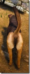 Tier 3 Shepherd Dog Back Tier 3 Shepherd Dog Back