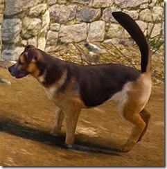 Tier 3 Shepherd Dog Side Tier 3 Shepherd Dog Side