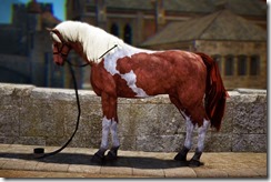 Tier2Female_Horse Tier2Female_Horse