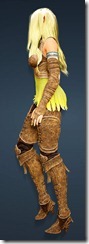 bdo-grunil-armor-ranger-2 bdo-grunil-armor-ranger-2