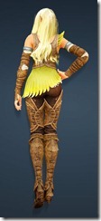 bdo-grunil-armor-ranger-3 bdo-grunil-armor-ranger-3