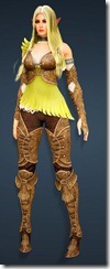 bdo-grunil-armor-ranger bdo-grunil-armor-ranger