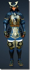 bdo-protection-ninja-costume bdo-protection-ninja-costume
