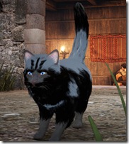 bdo-tier-3-cat-2 bdo-tier-3-cat-2
