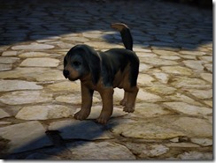 bdo-tier-3-dog-10 bdo-tier-3-dog-10