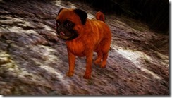 bdo-tier-3-dog-9 bdo-tier-3-dog-9