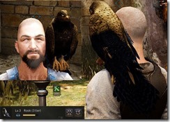 bdo-tier-3-hawk bdo-tier-3-hawk