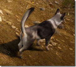 bdo-tier-4-dog-2 bdo-tier-4-dog-2