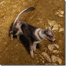 bdo-tier-4-dog-3 bdo-tier-4-dog-3