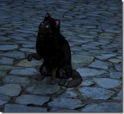 bod-tier-3-cat-2 bod-tier-3-cat-2