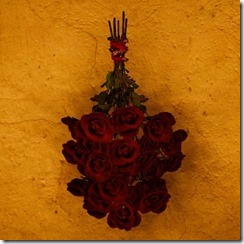 Dried-Roses Dried-Roses