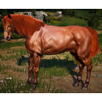 [Tier 4] Horse