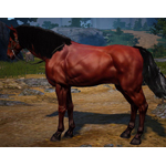 [Tier 5] Horse