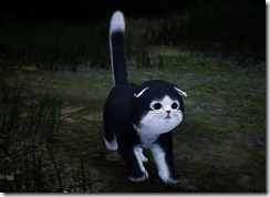 skunkcat4 skunkcat4
