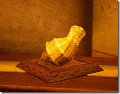 turbanShell turbanShell