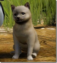 shaggypupp shaggypupp