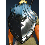 [Warrior] Clead Shield