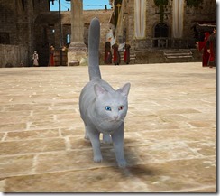 tier2cat tier2cat