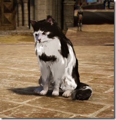 tier4cat2 tier4cat2