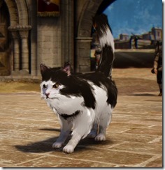 tier4cat tier4cat