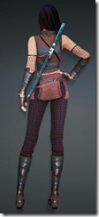 bdo-agerian-kunoichi-armor-3 bdo-agerian-kunoichi-armor-3