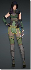 bdo-grunil-kunoichi-armor bdo-grunil-kunoichi-armor