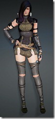 bdo-strength-of-heve-kunoichi-armor bdo-strength-of-heve-kunoichi-armor