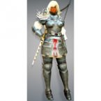 [Ranger] Delphe Knights Costume