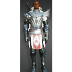 [Warrior] Delphe Knights Costume